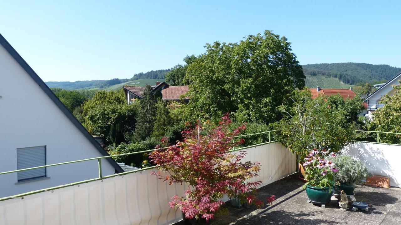 Apartmán Eifelidylle Am Moselmaareradweg Wittlich Exteriér fotografie